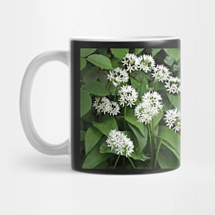 Wild Garlic Mug